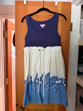 Lilly Pulitzer Navy and White Blue Ombre Mini Dress